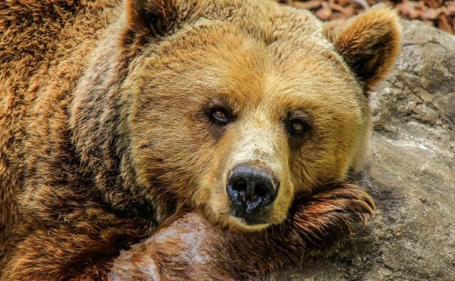 Биткоин ненадолго опустился до $ 41,000