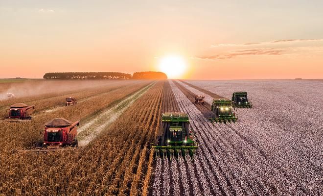 Создана новая блокчейн платформа для преобразования сельского хозяйства и рыболовства Создана новая блокчейн платформа для преобразования сельского хозяйства и рыболовства