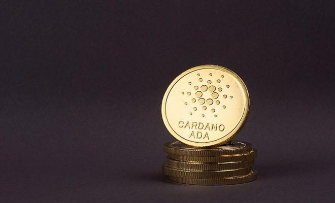 Сервис телемедицины Citaldoc начал работу в сети Cardano