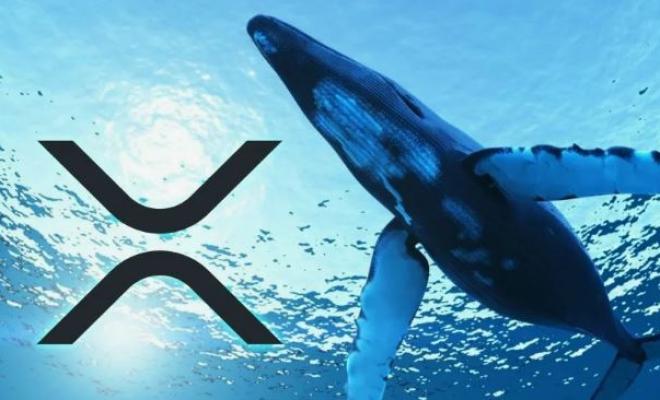 Крупный кит XRP переместил 95 678 794 XRP после падения цены на 17%