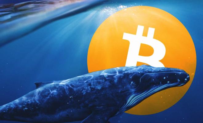 Strategy и Metaplanet довели долю BTC до 3,1% в обращении Strategy и Metaplanet довели долю BTC до 3,1% в обращении