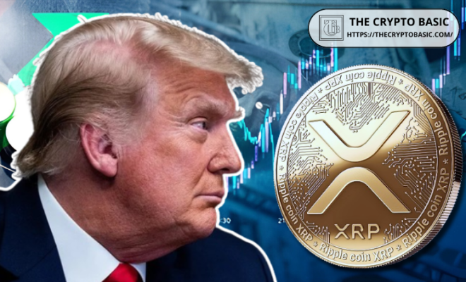 Эксперт утверждает, что для роста XRP президентство Трампа не обязательно