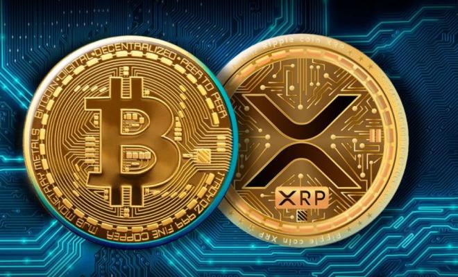 XRP сильнее биткоина на фоне краха рынка