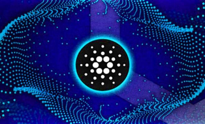 Первая DEX на базе Cardano привлекла $ 1,500,000