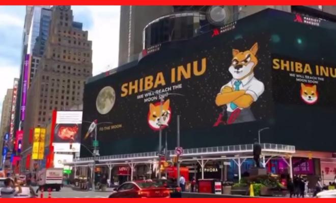 Токен BONE экосистемы Shiba Inu вырос на 8%