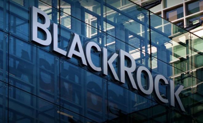 BlackRock обнародовал предупреждение о криптовалютах