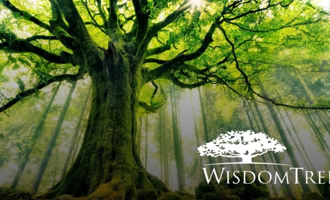 WisdomTree интегрирует свои токенизированные фонды в сеть Solana для расширения доступа к реальным активам
