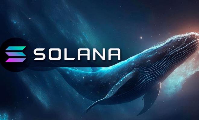 Ожидается гигантский сброс китом 200 000 Solana (30 миллионов долларов)