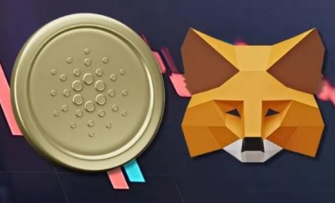 Пользователи MetaMask теперь могут взаимодействовать с Cardano