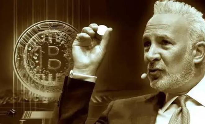 Питер Шифф: Майкл Сэйлор может стать большим злодеем, чем глава FTX