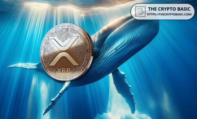 Более 383 млн XRP переведено с активированного адреса Bitstamp на единый кошелек