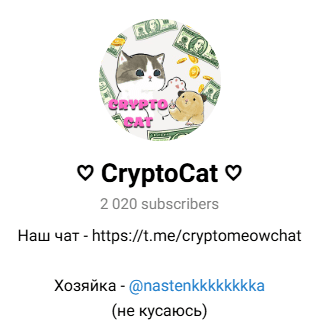 CryptoCat