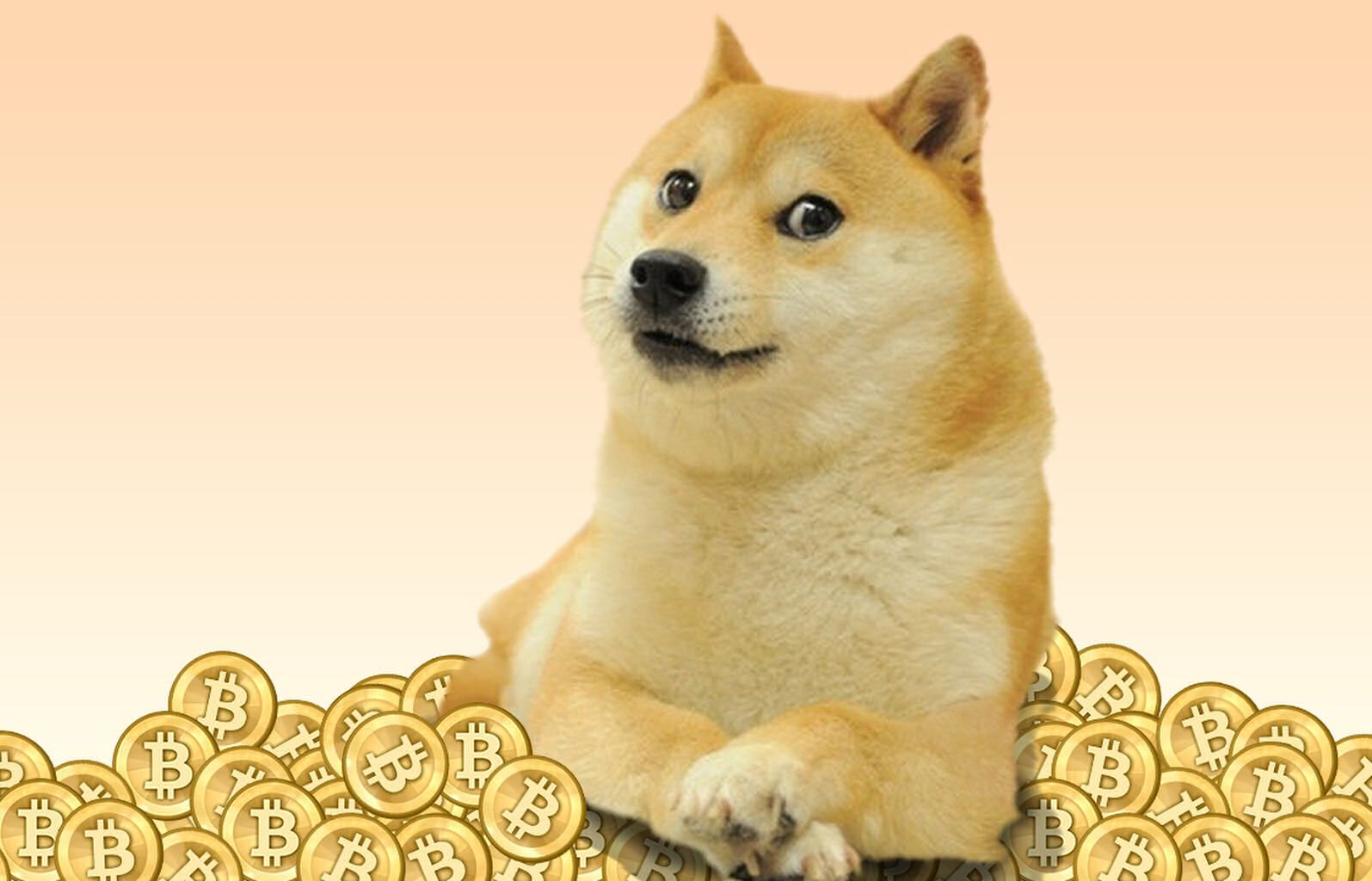 dogecoin, трейдинг, криптовалюта, собака