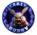 blogger-Crazy Bunny