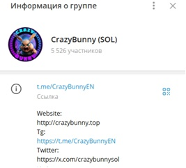 Crazybunny