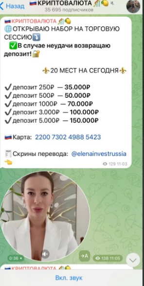 elina invest