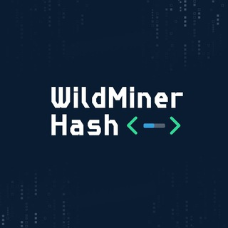 blogger-Wildminerhash 