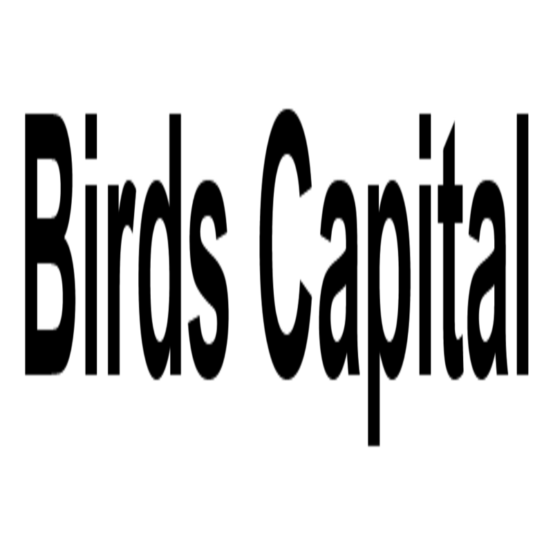 blogger-Birds Capital