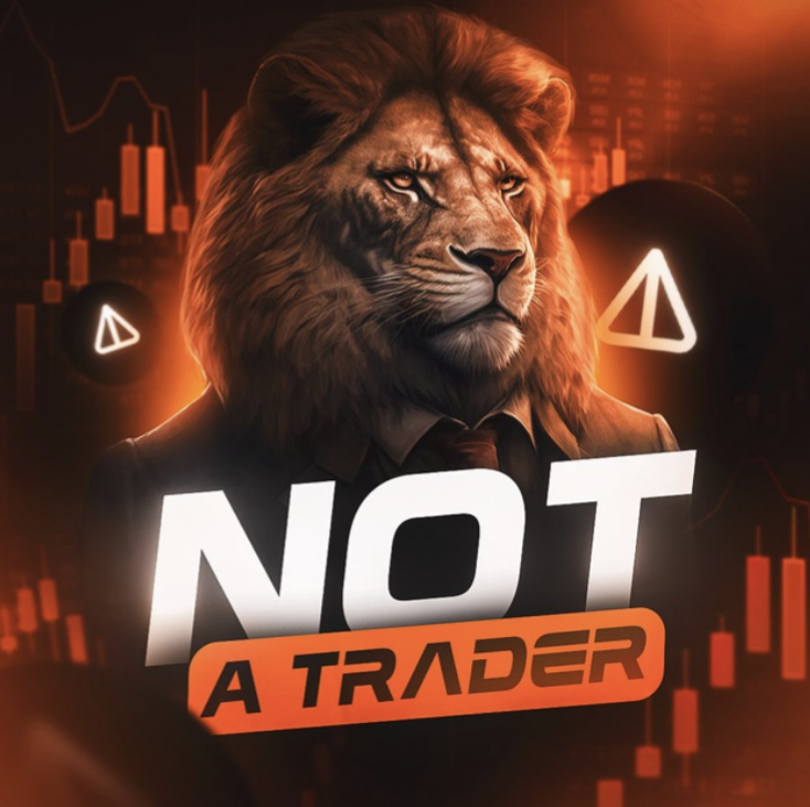 blogger-Not a Trader