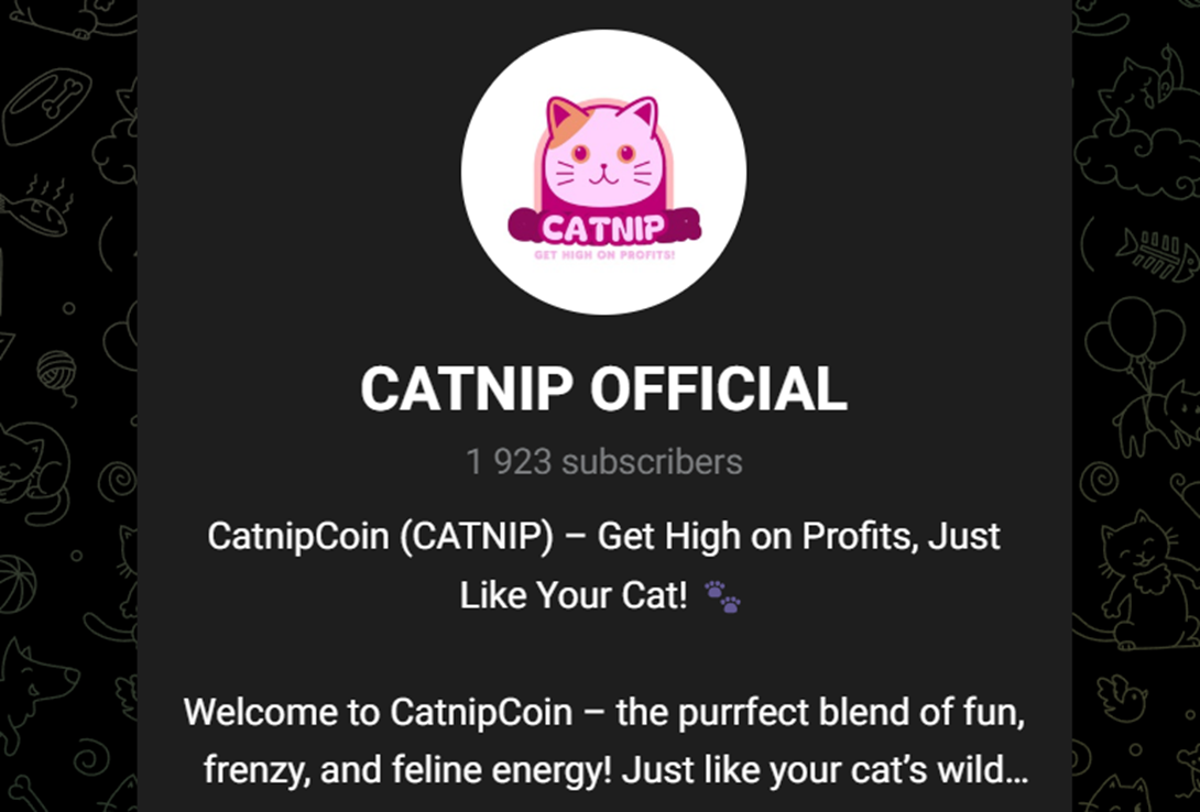 CATNIP OFFICIAL