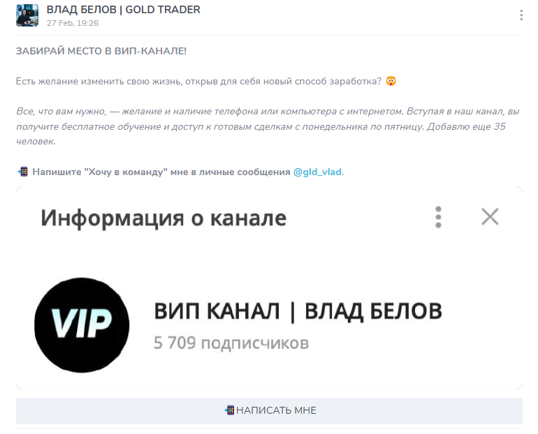 влад белов gold trader