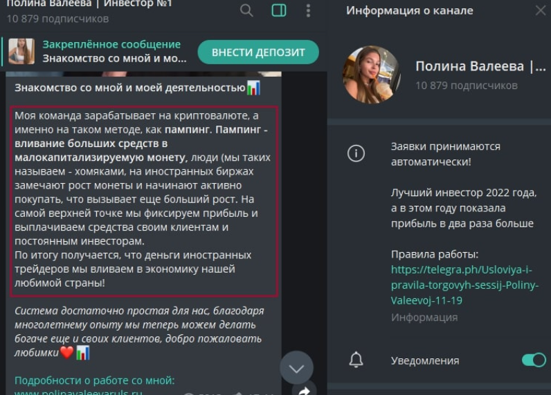 валеева полина инвестиции