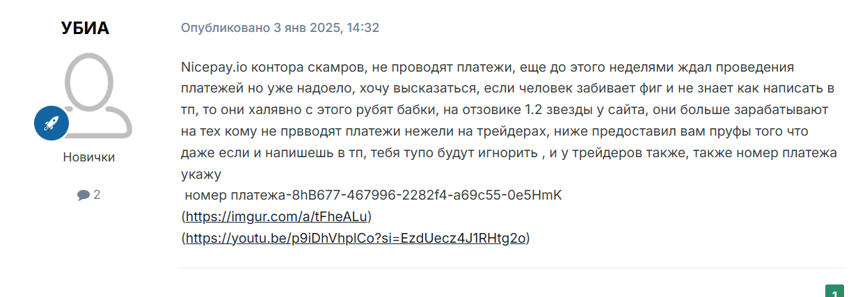 НайсПей отзывы НайсПей отзывы