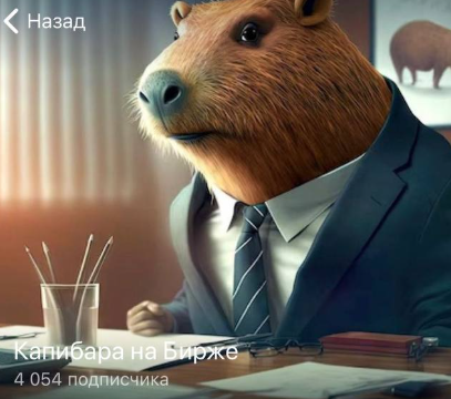 капибара на бирже тг капибара на бирже тг
