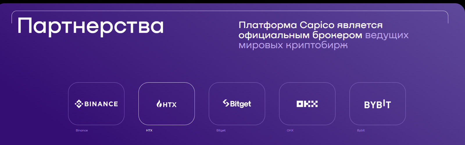 Capico курсы Capico курсы