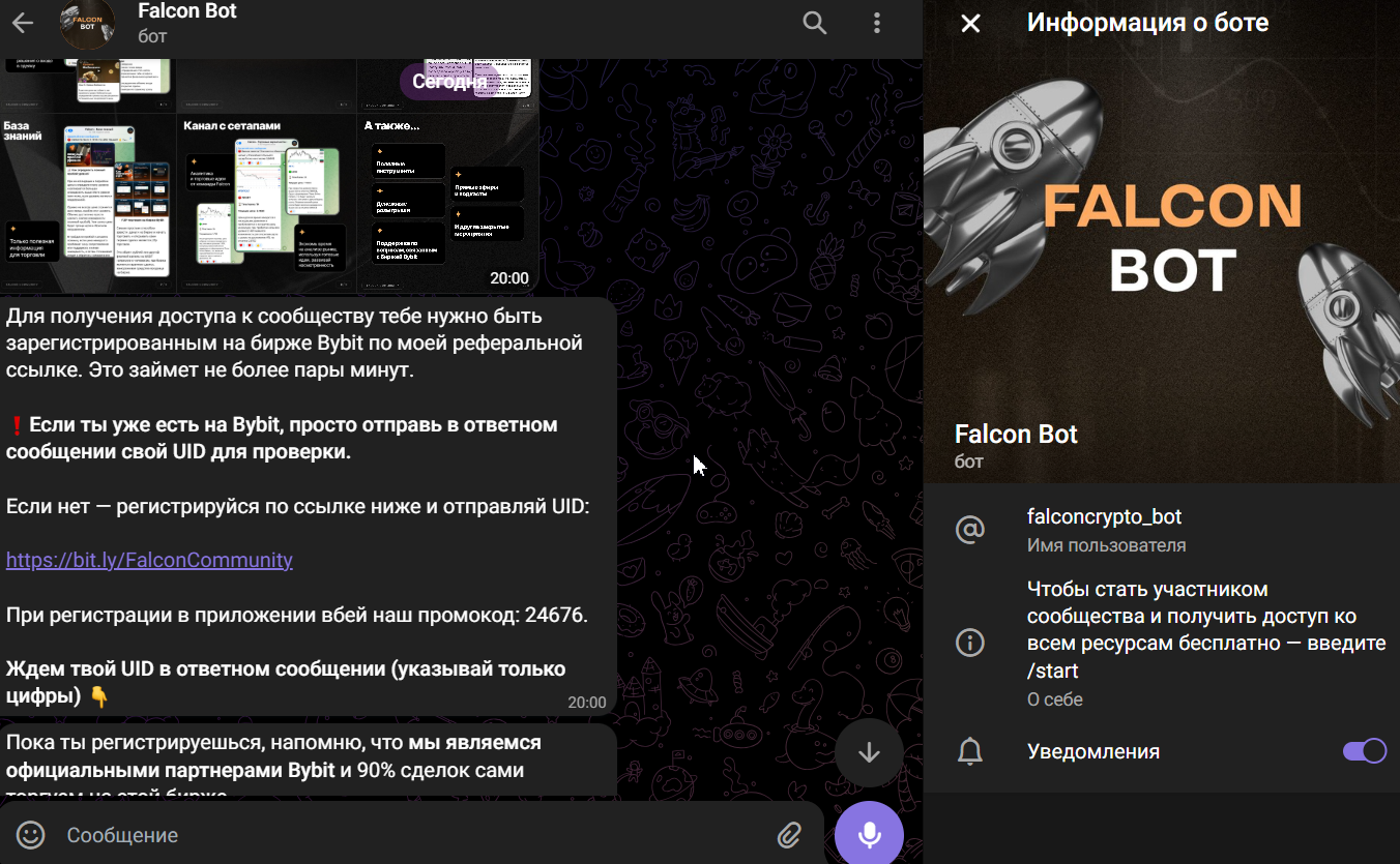 crypto falcon отзывы crypto falcon отзывы