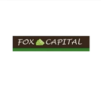 blogger-Fox capital invest