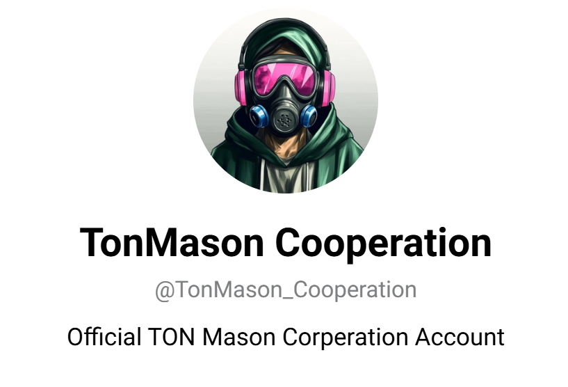 тон мейсон бот тон мейсон бот
