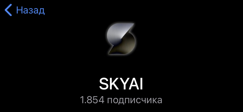 skyai coin skyai coin