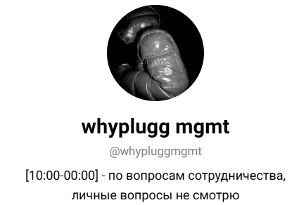 whyplugg