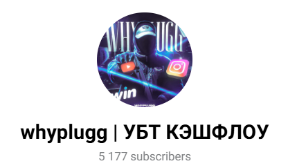 whyplugg