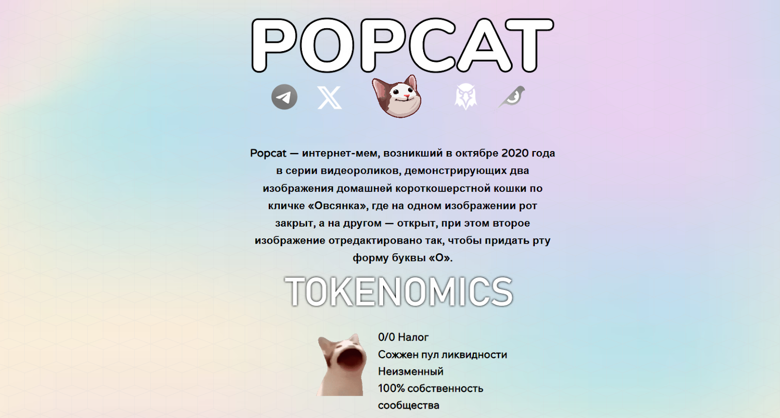 popcat криптовалюта обзор popcat криптовалюта обзор