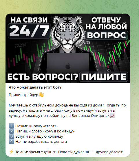 zdravyj trejder