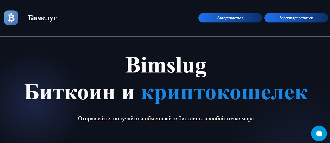 bimslug bimslug