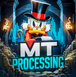 blogger-Mt processing