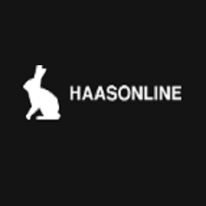 blogger-Haasonline 
