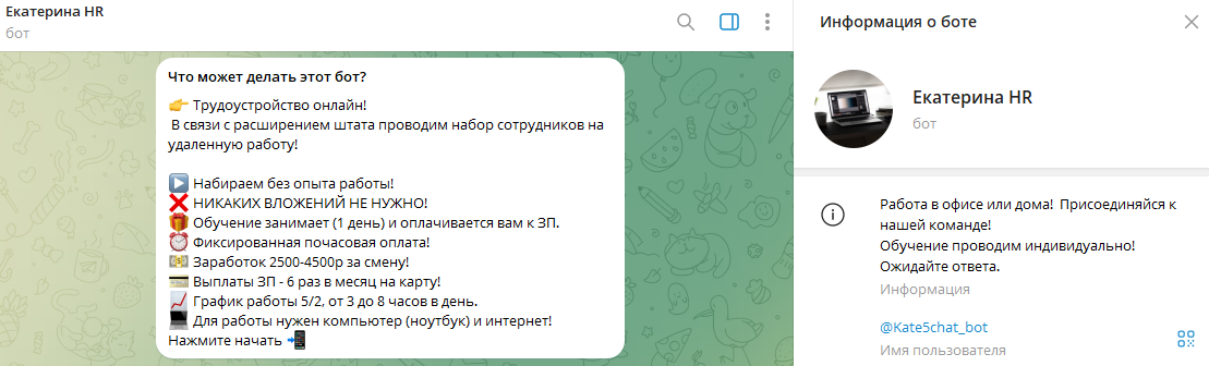 kate5chat bot отзывы kate5chat bot отзывы