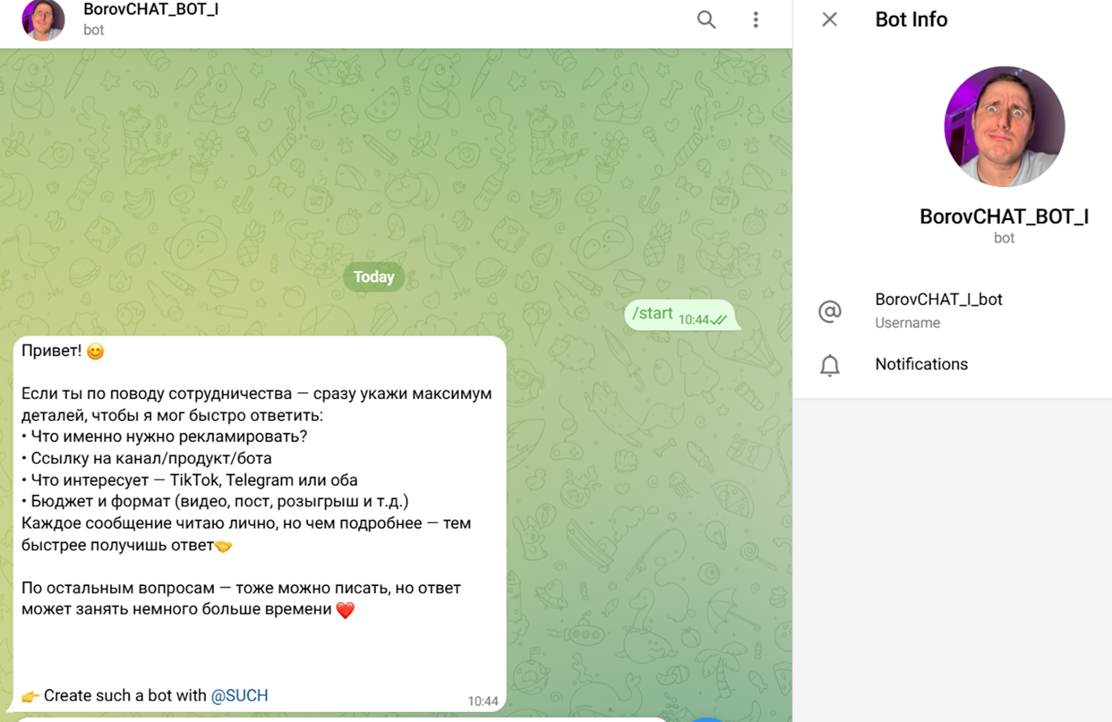borov club borov club