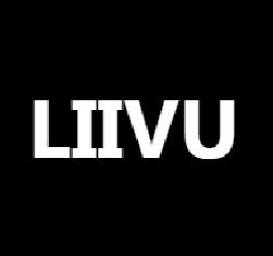 blogger-Liivu 