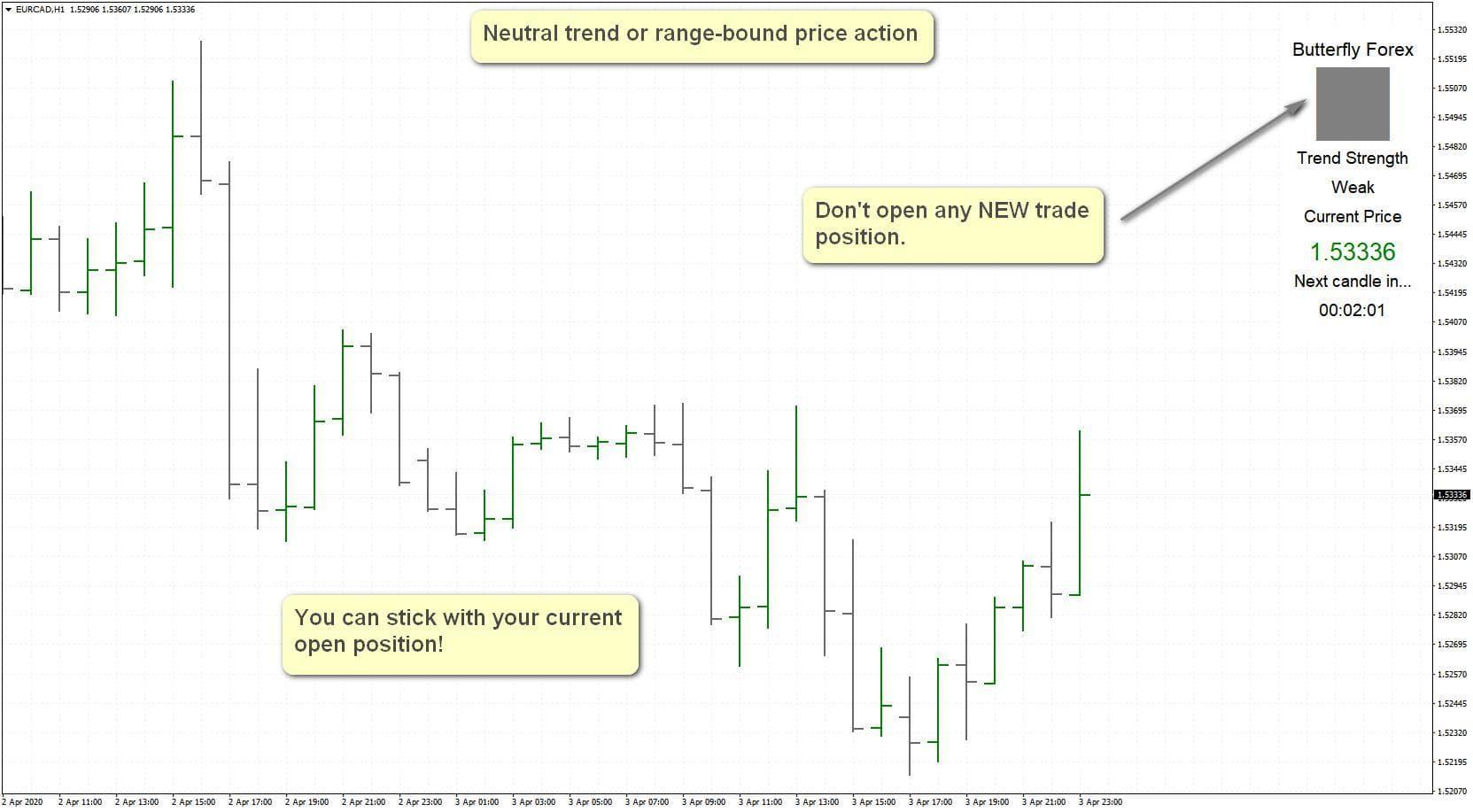 butterfly forex butterfly forex