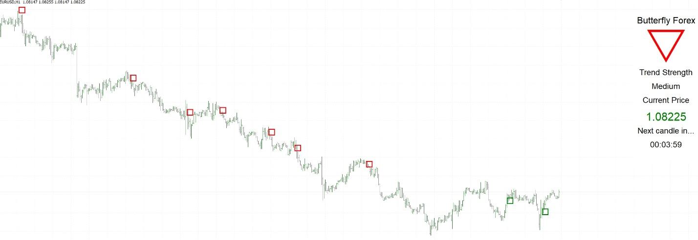 butterfly forex butterfly forex