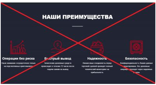 Net profit biz Net profit biz