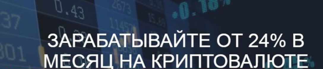 Net profit biz Net profit biz