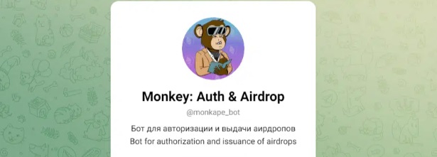монкей нфт монкей нфт