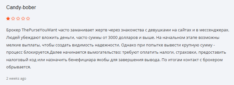 ThePurseYouWant отзывы