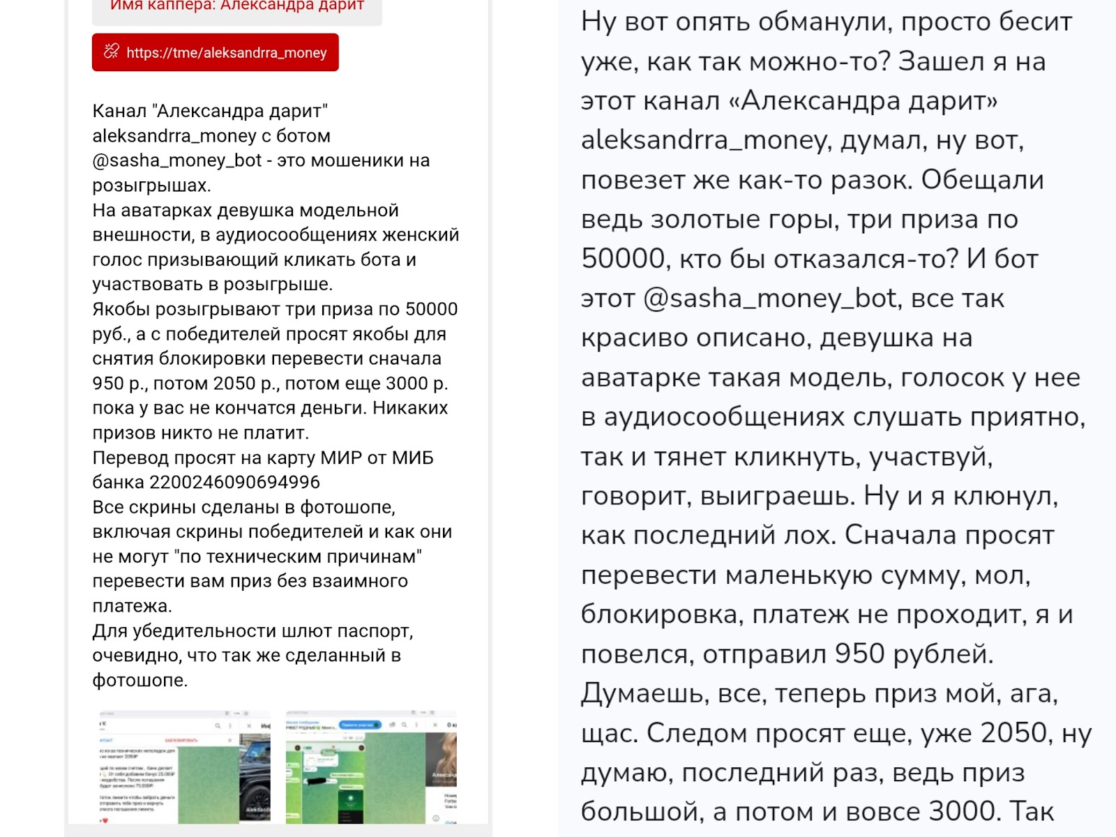 sasha money bot sasha money bot